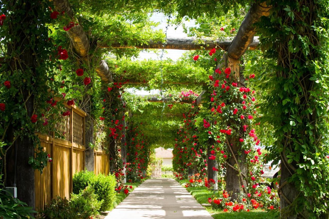 South Coast Winery Resort & Spa Temecula Dış mekan fotoğraf